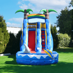 Shark Water Slide
