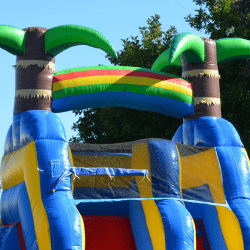 Shark20module204 1759725169 Shark Water Slide